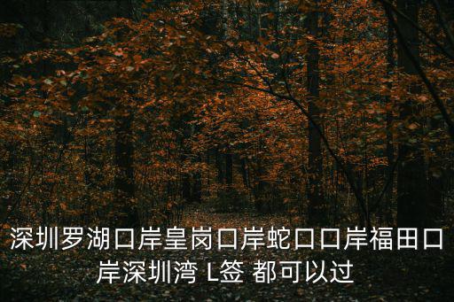 深圳羅湖口岸皇崗口岸蛇口口岸福田口岸深圳灣 L簽 都可以過(guò)