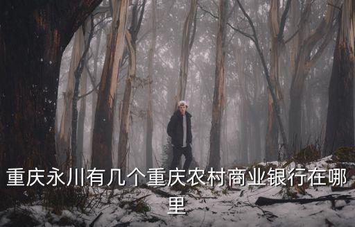 重慶永川有幾個重慶農村商業銀行在哪里