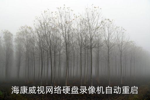 ?？低暰W絡硬盤錄像機自動重啟
