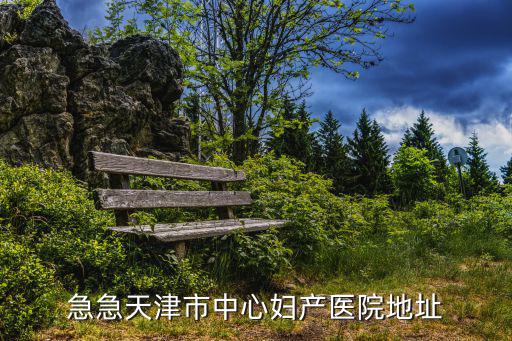 急急天津市中心婦產醫院地址