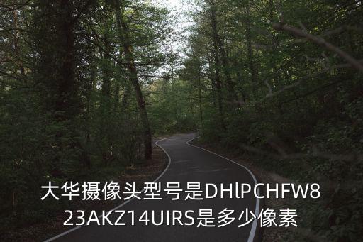 大華攝像頭型號是DHlPCHFW823AKZ14UIRS是多少像素