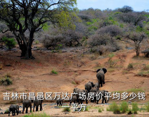 吉林市昌邑區萬達廣場房價平均多少錢一平方