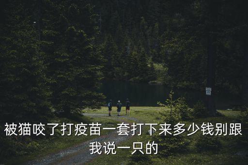 被貓咬了打疫苗一套打下來多少錢別跟我說一只的