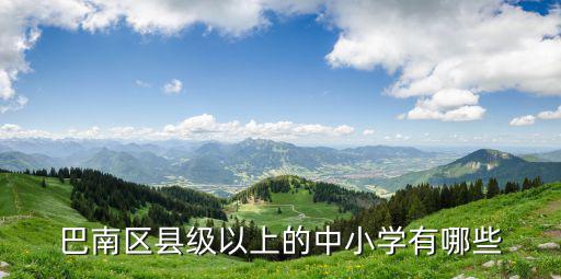 巴南區縣級以上的中小學有哪些