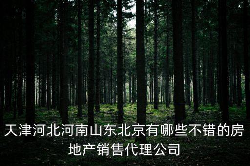 天津河北河南山東北京有哪些不錯的房地產銷售代理公司