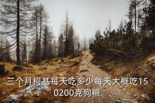 三個月柯基每天吃多少每天大概吃150200克狗糧