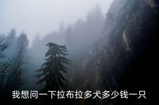 我想問一下拉布拉多犬多少錢一只