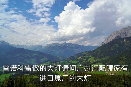 雷諾科雷傲的大燈請問廣州汽配哪家有進口原廠的大燈