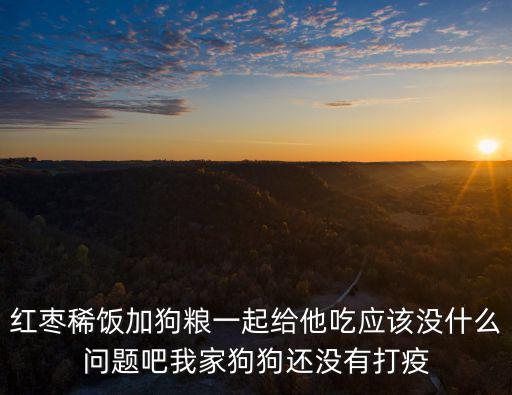 紅棗稀飯加狗糧一起給他吃應該沒什么問題吧我家狗狗還沒有打疫