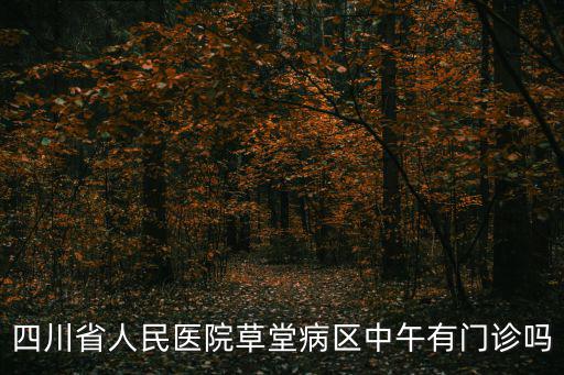 四川省人民醫院草堂病區中午有門診嗎