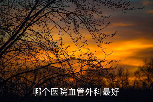 哪個醫院血管外科最好