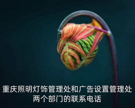 重慶市中光電座機電話多少錢，重慶照明燈飾管理處和廣告設置管理處兩個部門的聯(lián)系電話