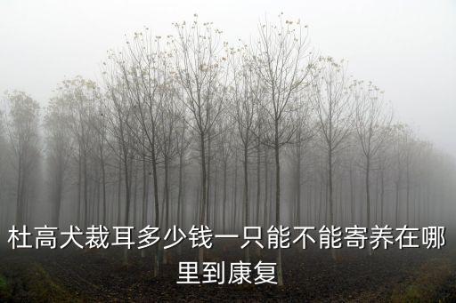 杜高犬裁耳多少錢一只能不能寄養在哪里到康復
