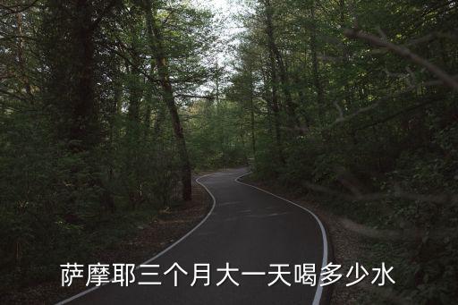 薩摩耶三個月大一天喝多少水