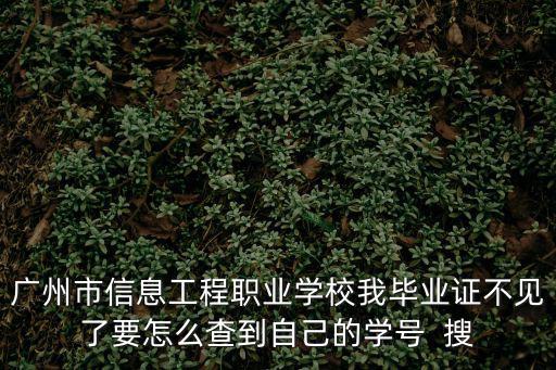 廣州市信息工程職業學校我畢業證不見了要怎么查到自己的學號  搜