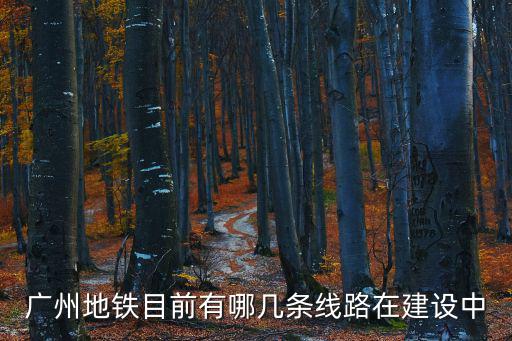 廣州地鐵目前有哪幾條線路在建設中