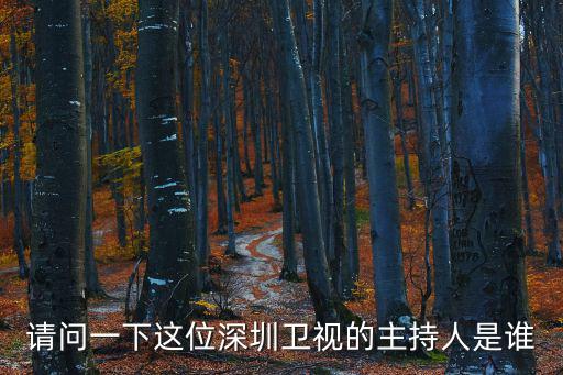 請問一下這位深圳衛視的主持人是誰