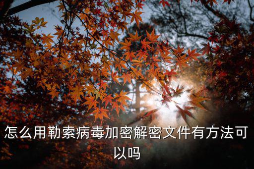 怎么用勒索病毒加密解密文件有方法可以嗎