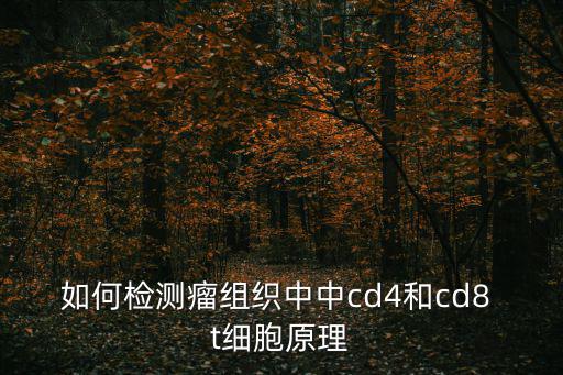 如何檢測瘤組織中中cd4和cd8 t細胞原理
