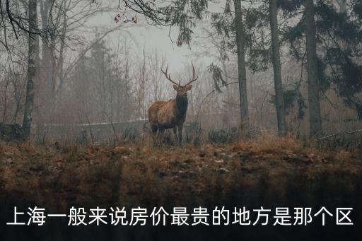 上海一般來說房價最貴的地方是那個區