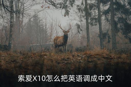 索愛X10怎么把英語調(diào)成中文