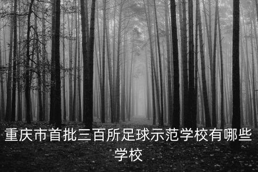 重慶市首批三百所足球示范學校有哪些學校