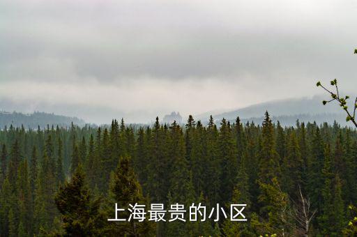 上海最貴的小區