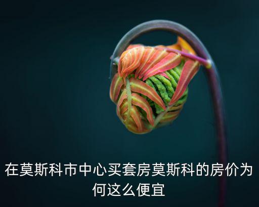 在莫斯科市中心買套房莫斯科的房價為何這么便宜