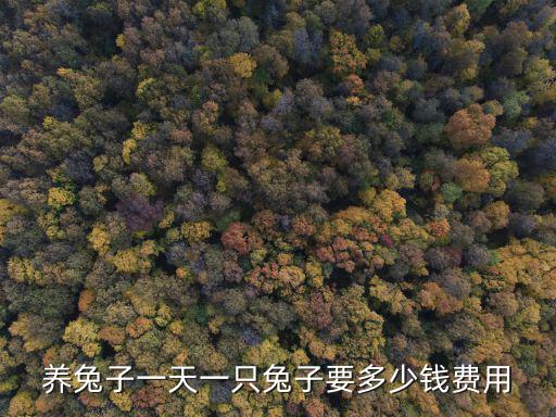 養兔子一天一只兔子要多少錢費用