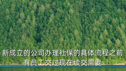 新成立的公司辦理社保的具體流程之前有員工交過現(xiàn)在續(xù)交需要