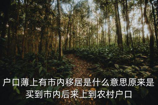 上海居轉戶是什么意思，上海市辦理居轉戶一定要檔案嗎