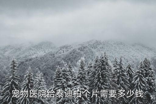 泰迪拍片子需要多少錢，給泰迪做美容要花多少錢
