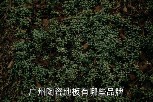 廣州陶瓷地板有哪些品牌