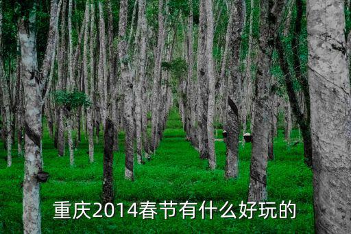 重慶2014春節有什么好玩的