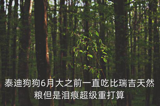 泰迪狗狗6月大之前一直吃比瑞吉天然糧但是淚痕超級重打算