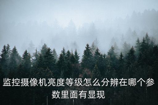海康星光級怎么區分，監控攝像機亮度等級怎么分辨在哪個參數里面有顯現