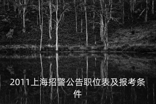 2011上海招警公告職位表及報考條件