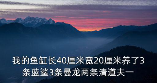 我的魚缸長40厘米寬20厘米養(yǎng)了3條藍(lán)鯊3條曼龍兩條清道夫一