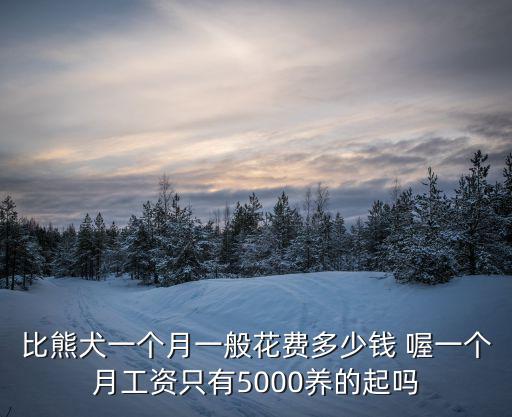 比熊犬一個(gè)月一般花費(fèi)多少錢 喔一個(gè)月工資只有5000養(yǎng)的起嗎