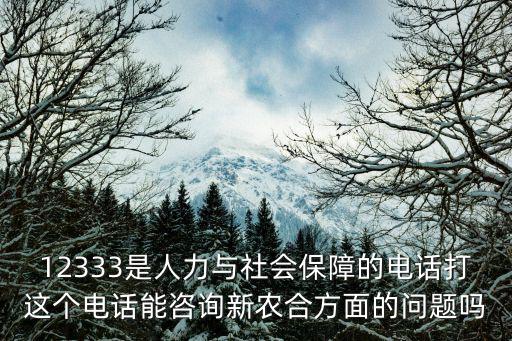12333是人力與社會保障的電話打這個電話能咨詢新農合方面的問題嗎