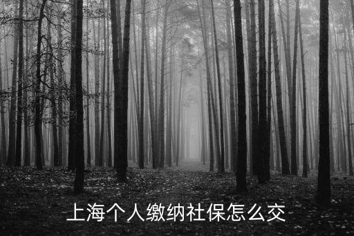 上海個人繳納社保怎么交
