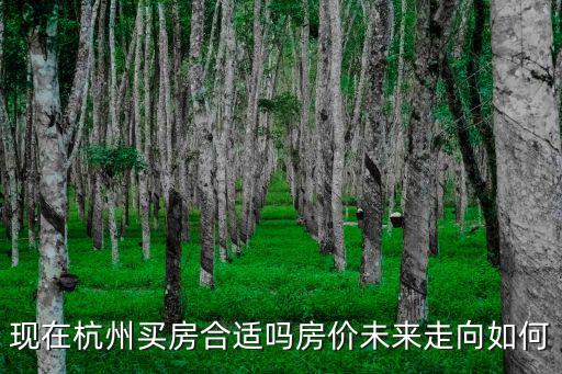 現在杭州買房合適嗎房價未來走向如何