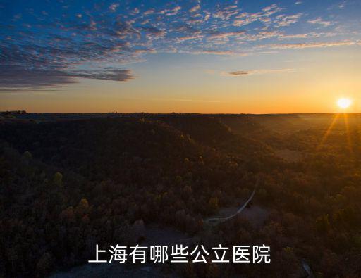 上海有哪些公立醫(yī)院
