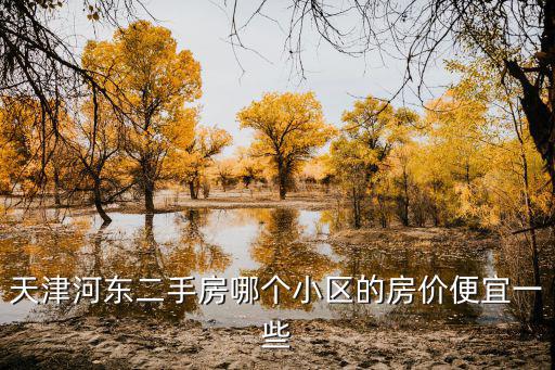 河?xùn)|區(qū)哪個(gè)小區(qū)房?jī)r(jià)最便宜，天津河?xùn)|二手房哪個(gè)小區(qū)的房?jī)r(jià)便宜一些