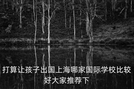 打算讓孩子出國上海哪家國際學校比較好大家推薦下