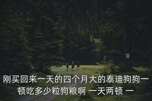 四個月幼犬吃多少狗糧，四個月的狗狗一頓大概吃多少