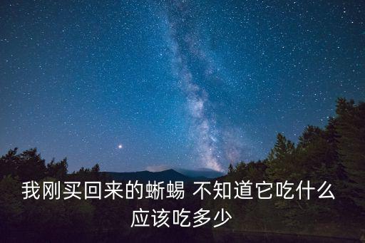 綠蜥蜴一次吃多少，綠蜥蜴吃多少食物