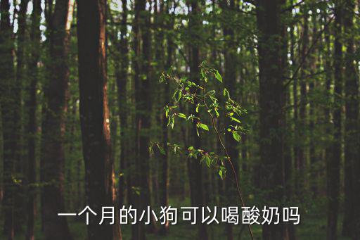一個(gè)月的小狗可以喝酸奶嗎