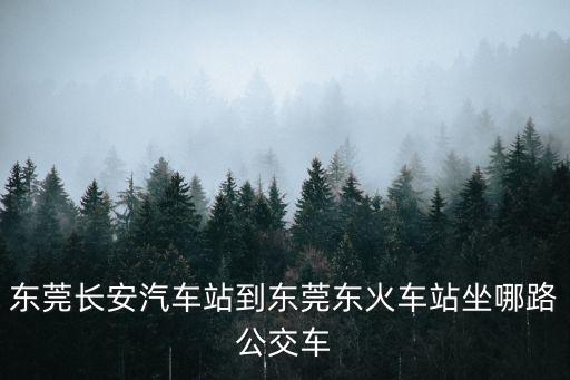 東莞公汽812，東莞黃江有直到廣州機場的大巴嗎