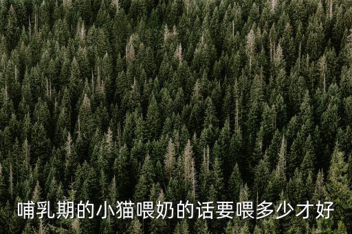 哺乳期的小貓喂奶的話要喂多少才好